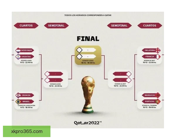 世界杯竞猜赔率大比拼 精选数据分析助你精准预测比赛结果